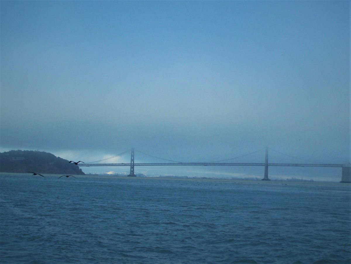 Golden Gate w całej okazałości