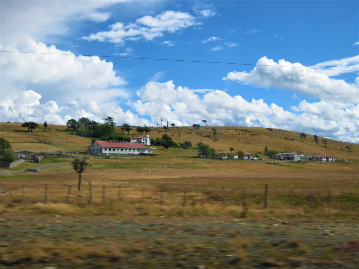 Chile. Droga pomiędzy Punta Arenas do Puerto Natales