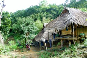 Plemiona Akha żyją w chatach wykonanych z bambusu i dachach krytych strzechą