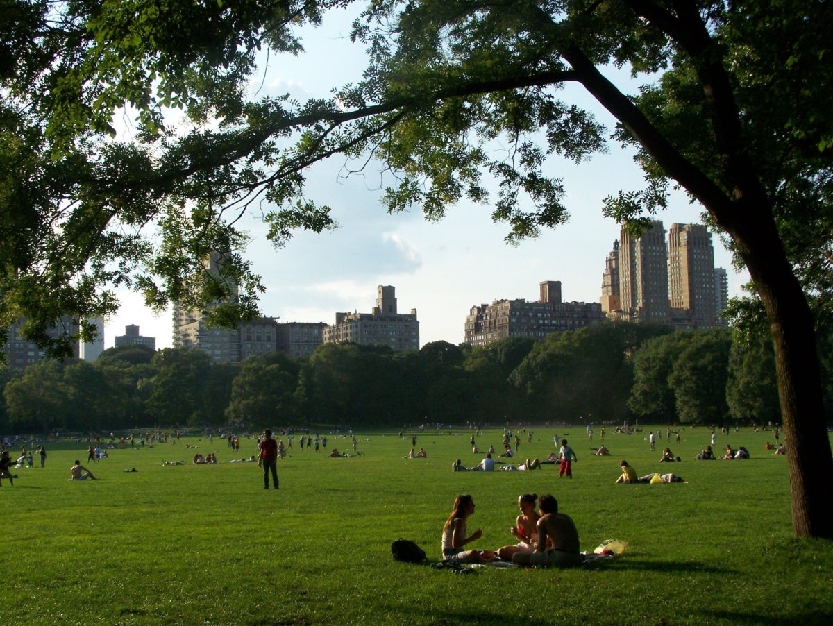 Piknik na trawie to częsty widok w letnie, ciepłe dni