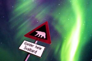 Uwaga na niedźwiedzie polarne. Zorza polarna nad wyspami Svalbardu