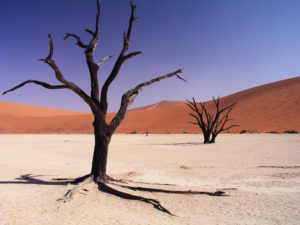 Pustynia Namib jest najstarszą znaną pustynią na świecie jest pustynia