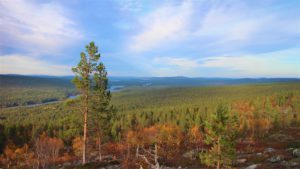 Laponia to setki tysiące kilometrów kwadratowych poprzecinane rzekami i krystalicznie czystymi jeziorami polodowcowymi
