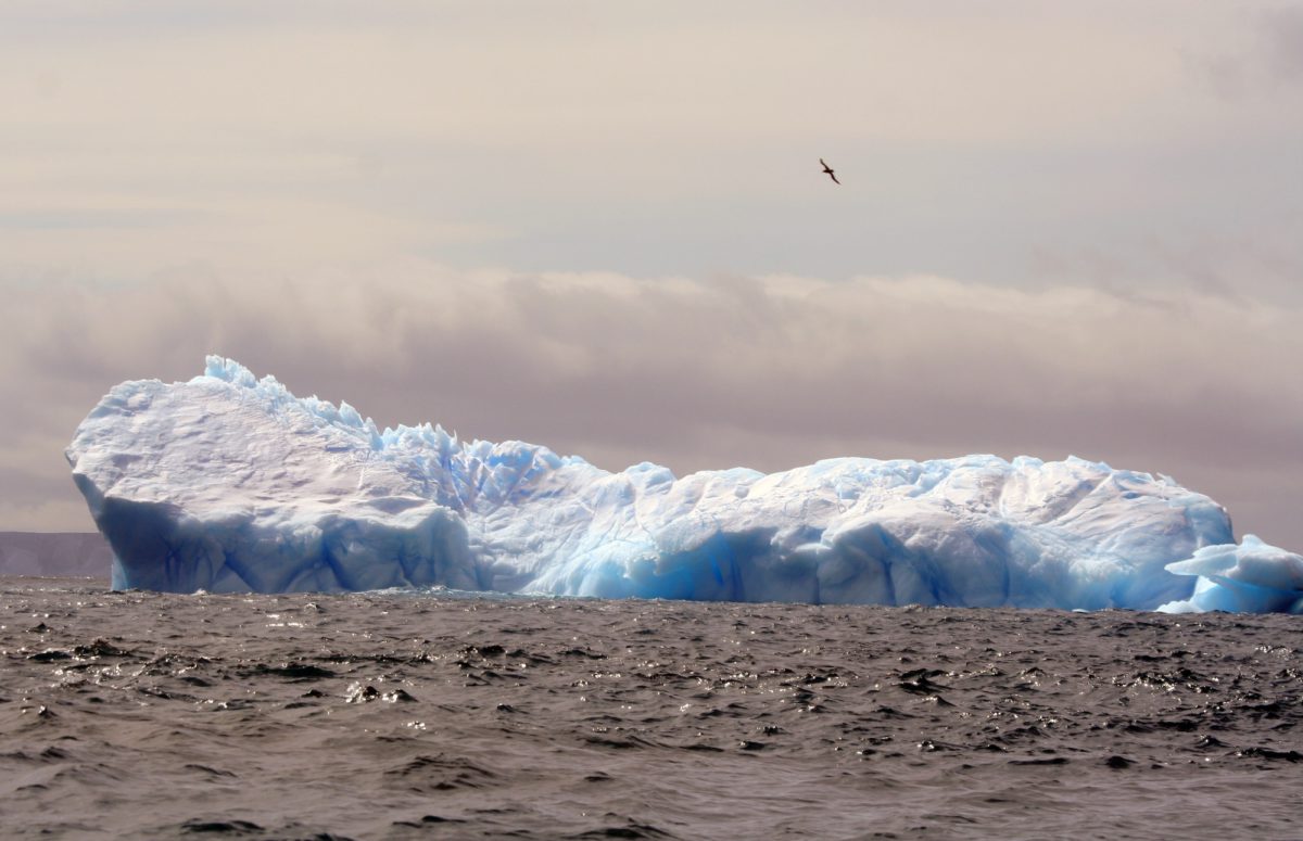 Antarktyda. Góra lodowa