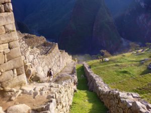 Sieć dróg pozwalała Inkom na sprawne administrowanie rozległym imperium