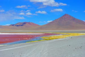 Czerwona laguna na płaskowyżu Altiplano w Andach