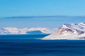 Wyspy Svalbardu to bezpieczne schronienie dla niedźwiedzi polarnych