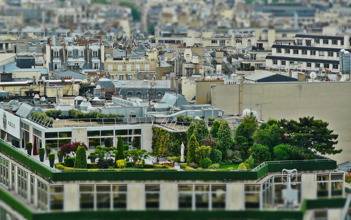 Zielone ogrody na dachach Paryża